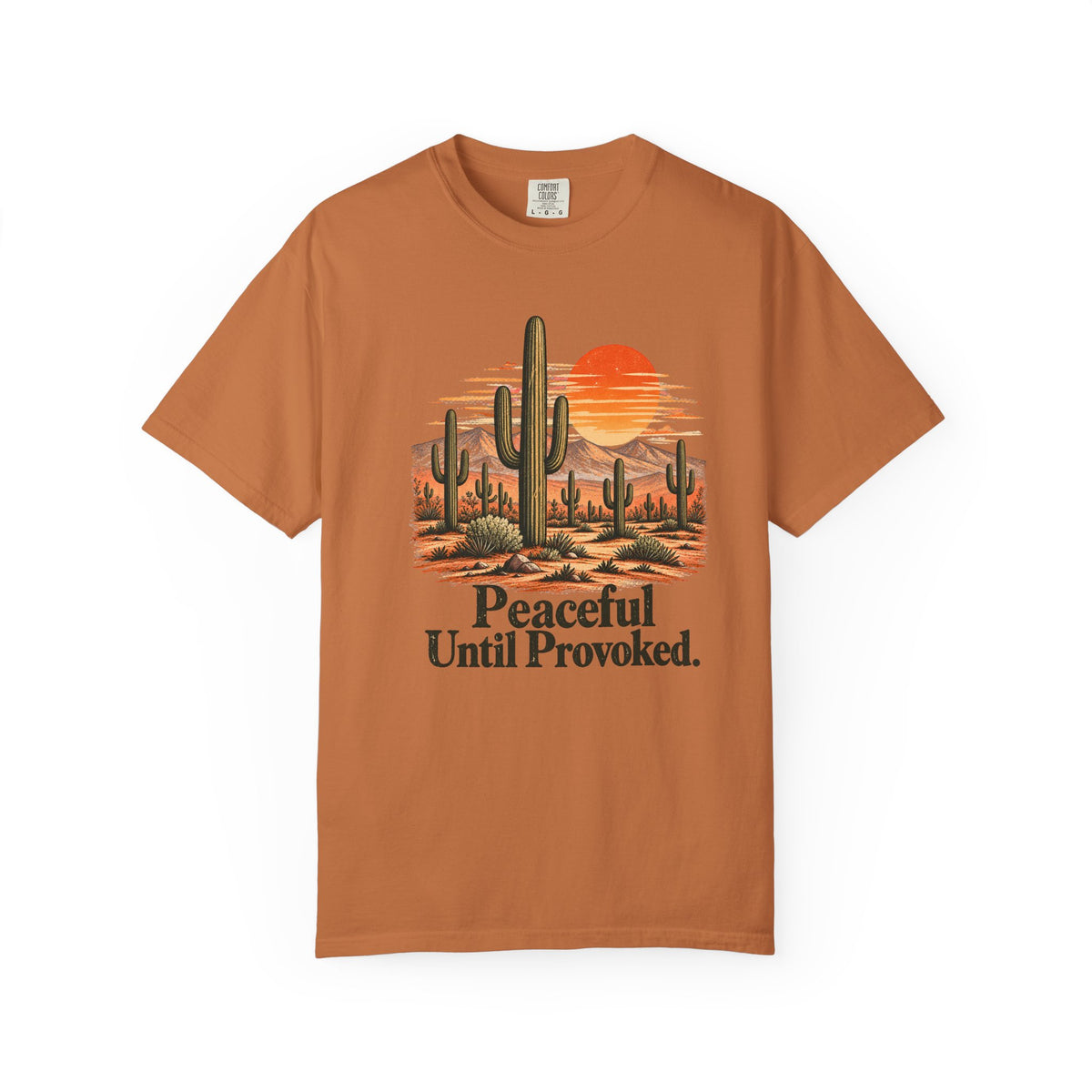 Peaceful Until Provoked | Vintage Desert Cactus Graphic Tee