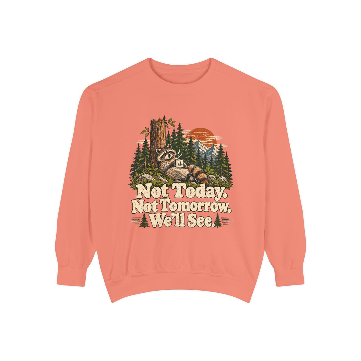 Not Today. Not Tomorrow. We'll See. | Funny Raccoon Sweatshirt