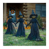 Lighted Halloween Witch Stakes Set