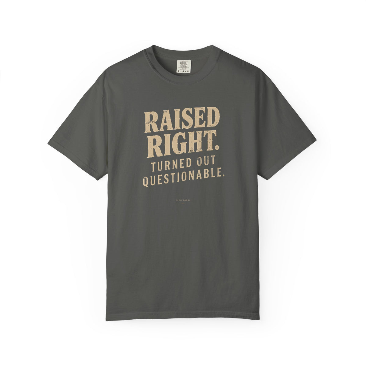 Raised Right Turned Out Questionable T-Shirt | Funny Graphic Tee | Comfort Colors 1717