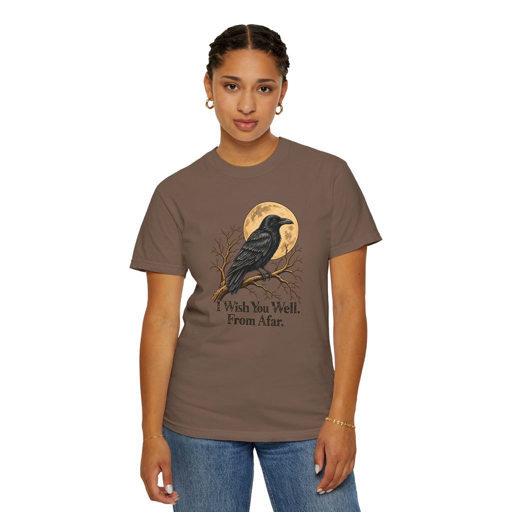 I Wish You Well From Afar T-Shirt | Vintage Raven Graphic Tee | Comfort Colors 1717